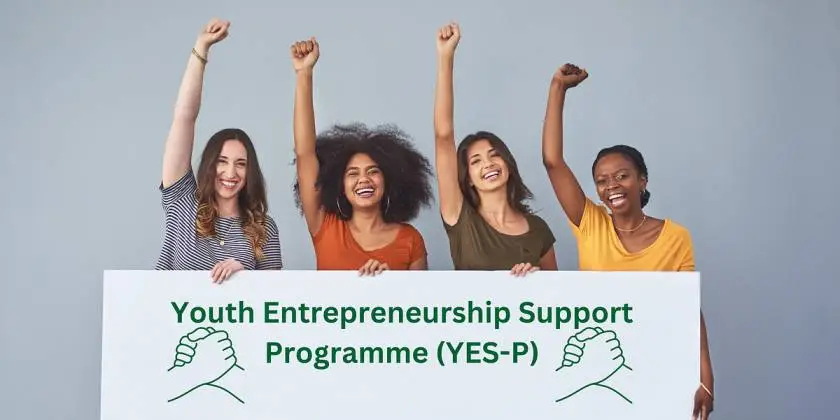 Know More About Youth Entrepreneurship S...