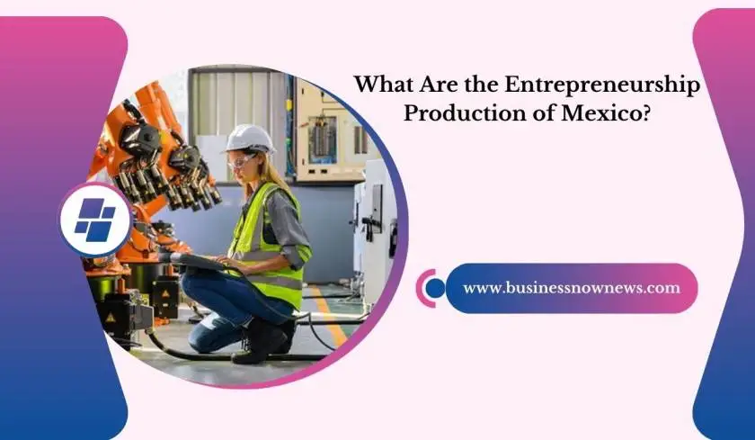 What Are the Entrepreneurship Production of Mexico?