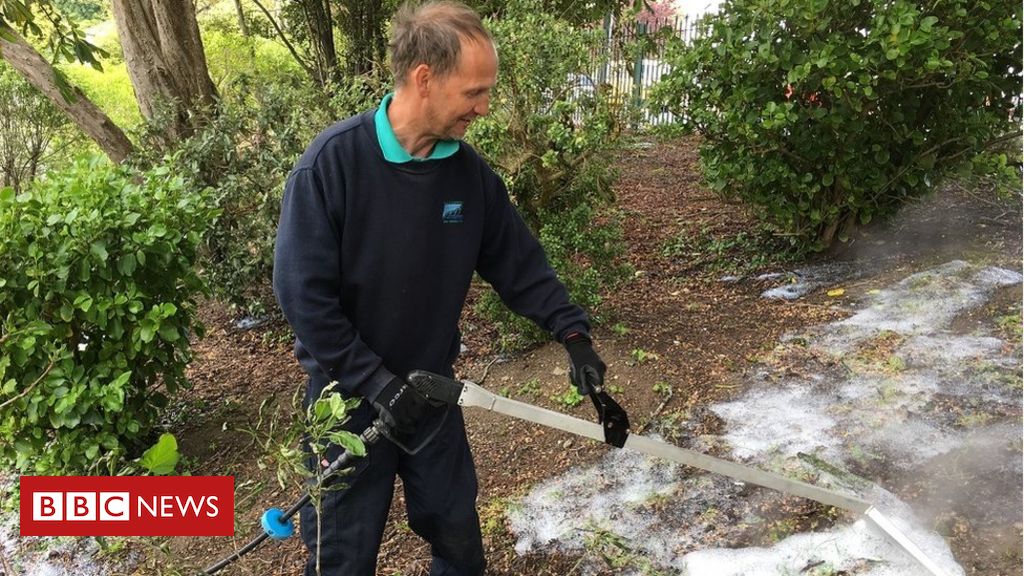 Zap! How microwaves and electricity are killing weeds