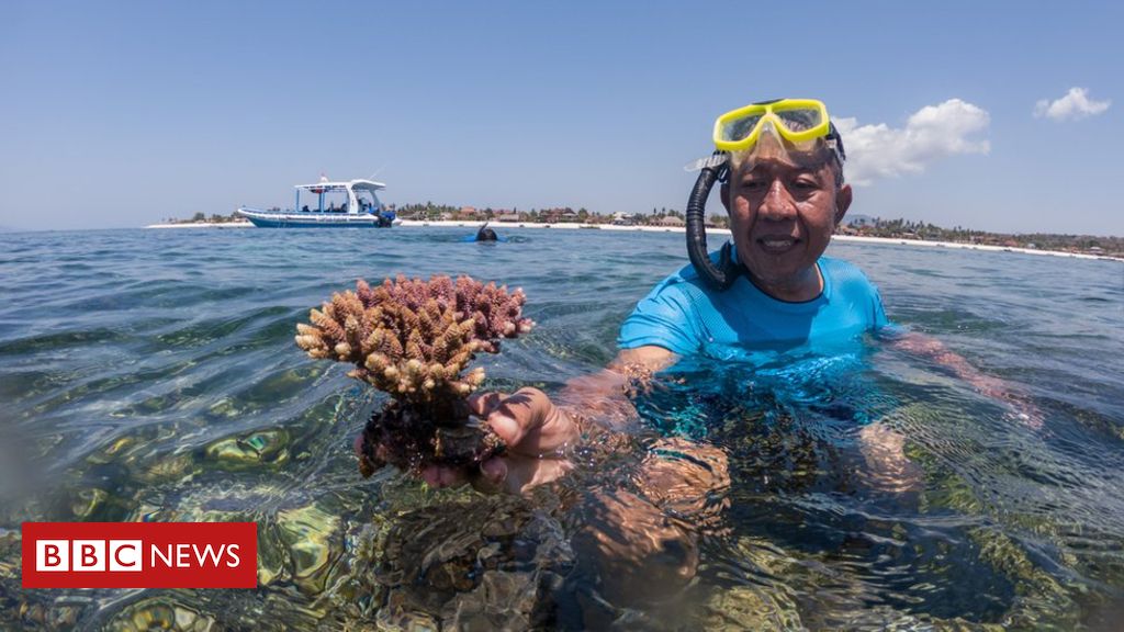 'After the coral ban, I lost everything'