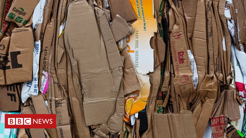 The millions being made from cardboard theft